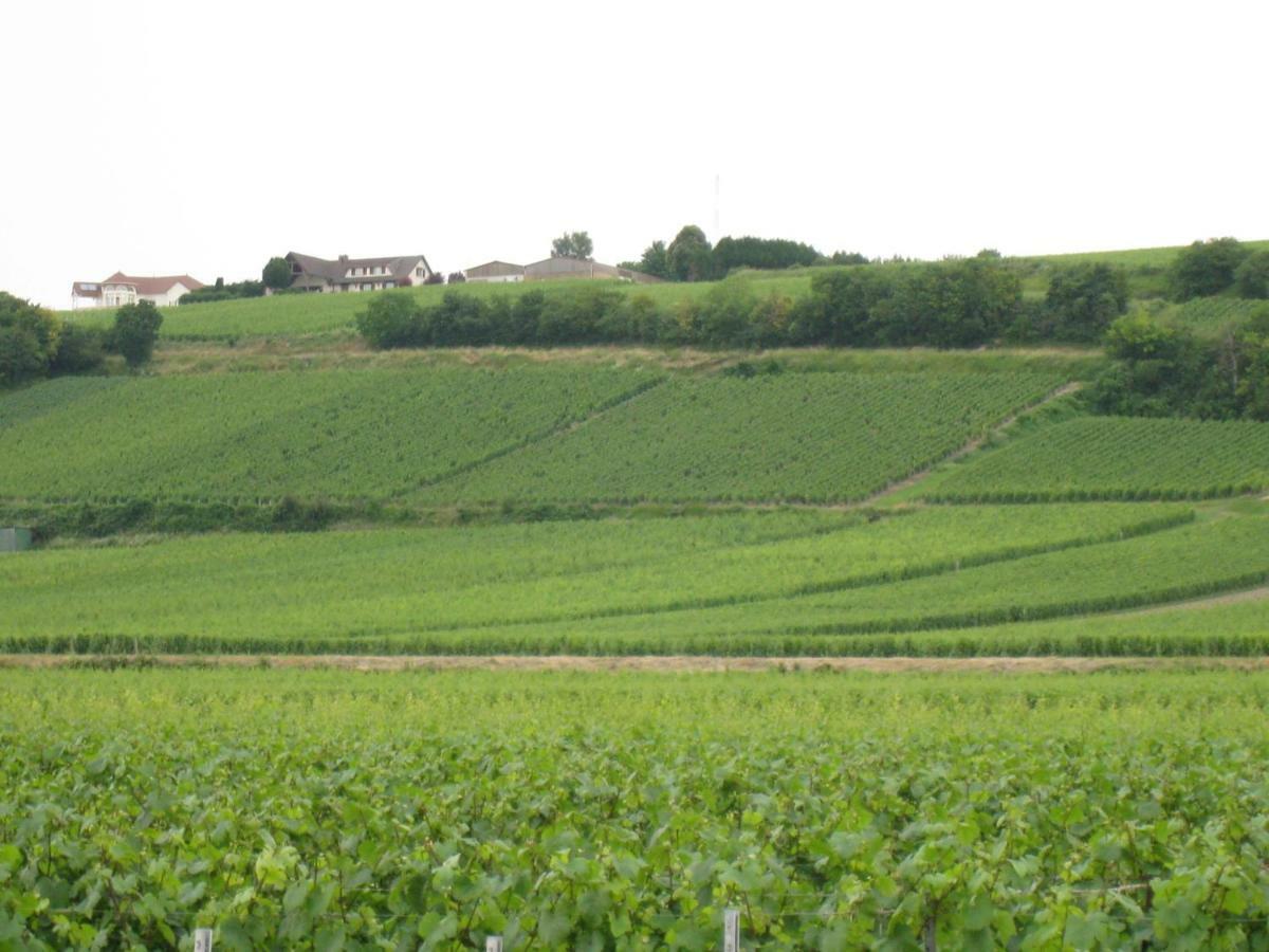 La Chambre D'Amis La Costignieres Montgueux Eksteriør bilde